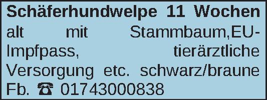 Vorschaubild der Anzeige, (Id: 1974656)